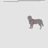 Product parameter chart for Y-shaped chest straps with a dog illustration and size chart.