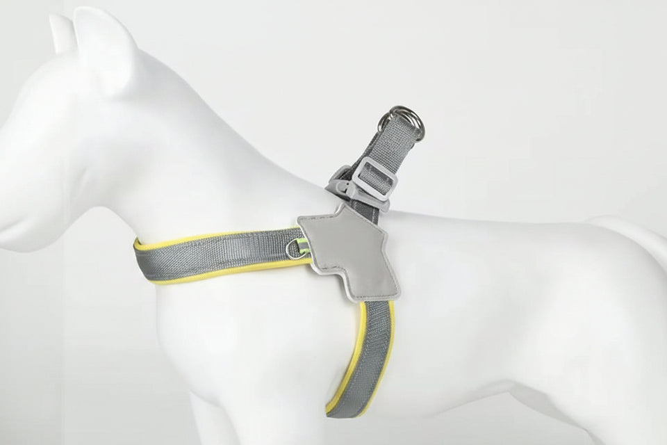 Gray dog harness with breathable mesh design on a white background