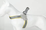 Gray dog harness with breathable mesh design on a white background