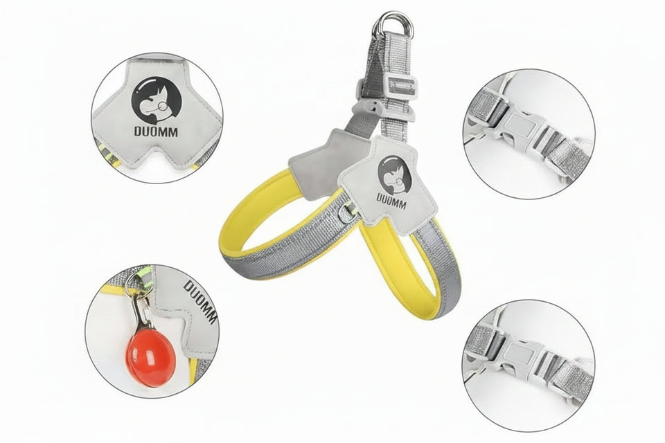 Dog leash with safety buckle and reflective effect, featuring DUUMM branding.