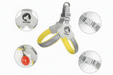 Dog leash with safety buckle and reflective effect, featuring DUUMM branding.