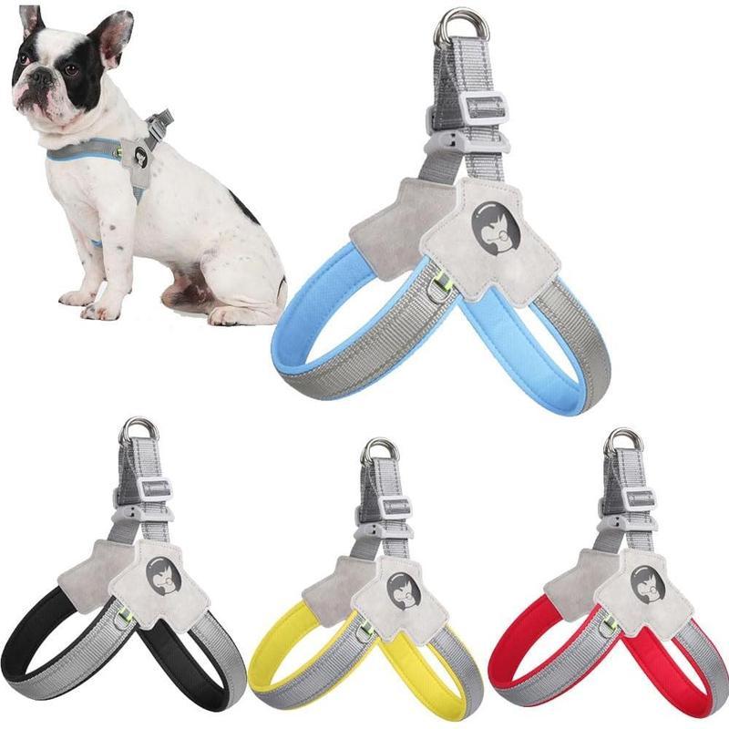 Dog harnesses in gray, blue, yellow, and red with a small dog model on a white background