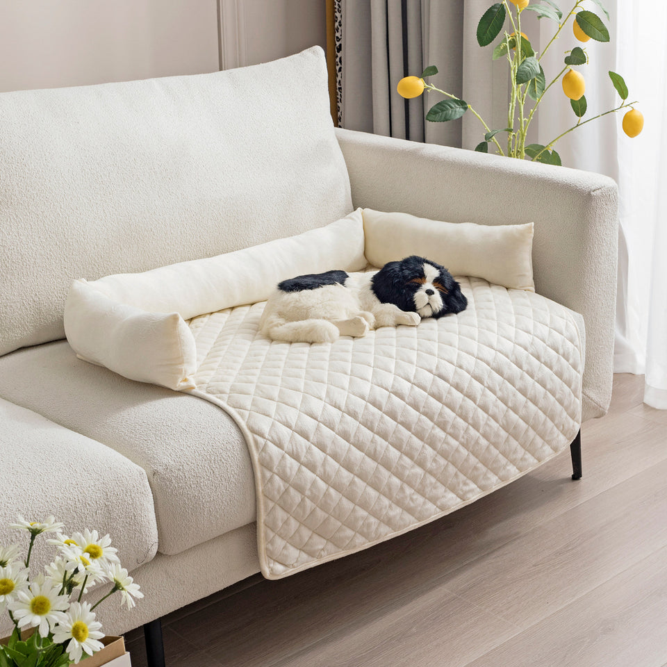 Dog lying on a white quilted blanket on a beige sofa with flowers and plants in the background
