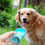 Dog with a blue water bottle held by a person outdoors