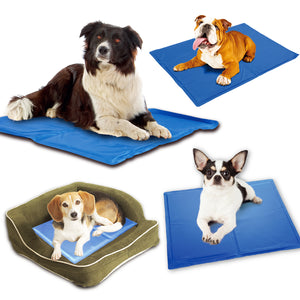 Two Dalmatian dogs on a blue cooling pad against a white background
