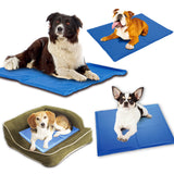 Four dogs on blue pet cooling pads in various positions.