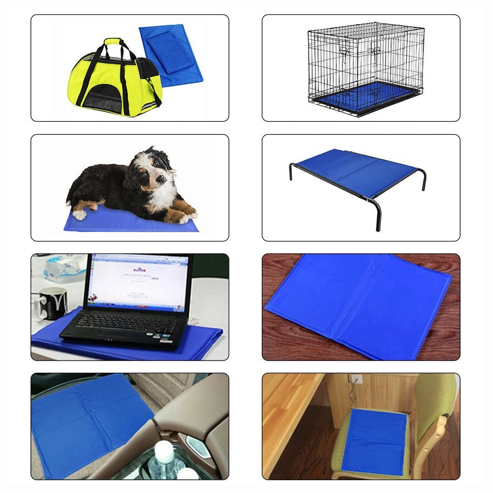 Collage of various blue pet and travel accessories on a white background