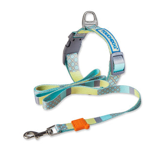 Dog leash with cartoon character pattern on a white background