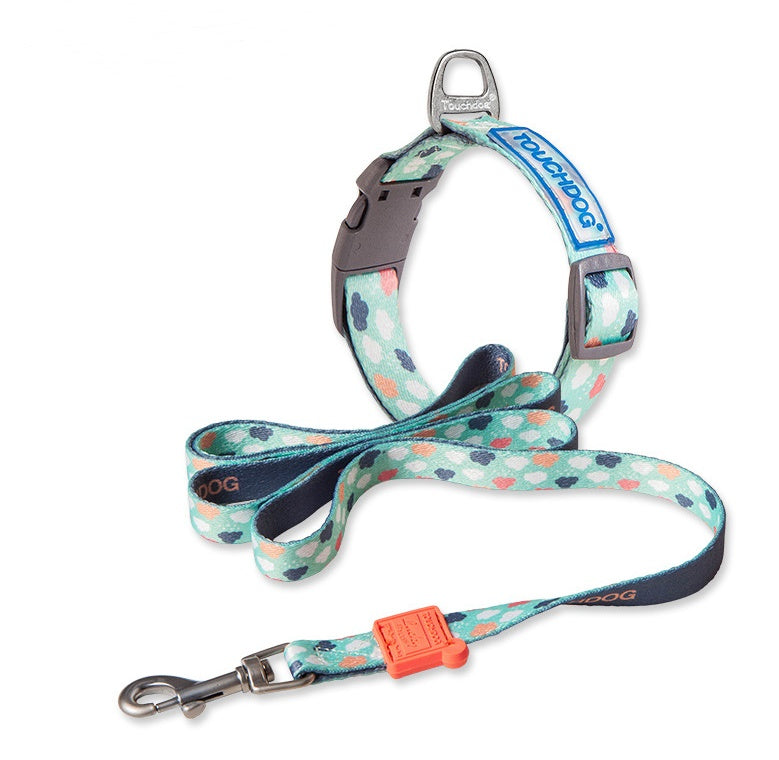 Dog collar and leash set with colorful pattern on a white background