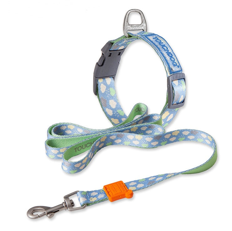 Dog collar and leash set with colorful pattern on a white background