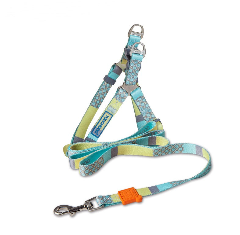 Patterned dog leash with colorful clip on a white background