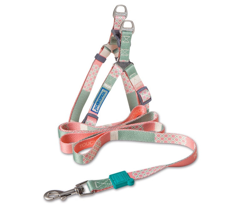 Dog harness and leash set with a patterned design on a white background