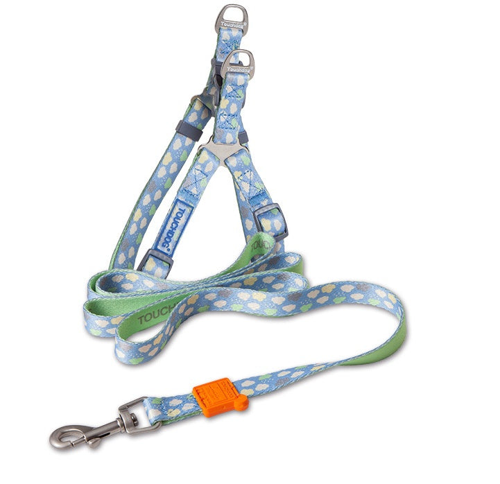 Dog harness and leash set with floral pattern on a white background