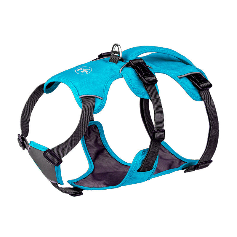 Blue dog harness with black straps on a white background