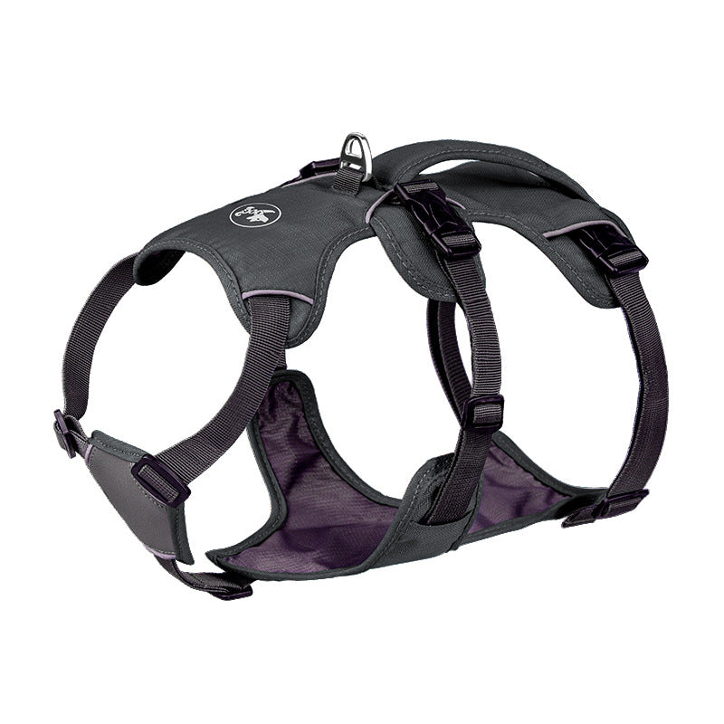 Gray dog harness on a white background