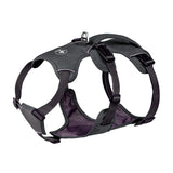 Gray dog harness on a white background