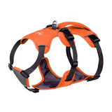 Orange dog harness with black straps on a white background
