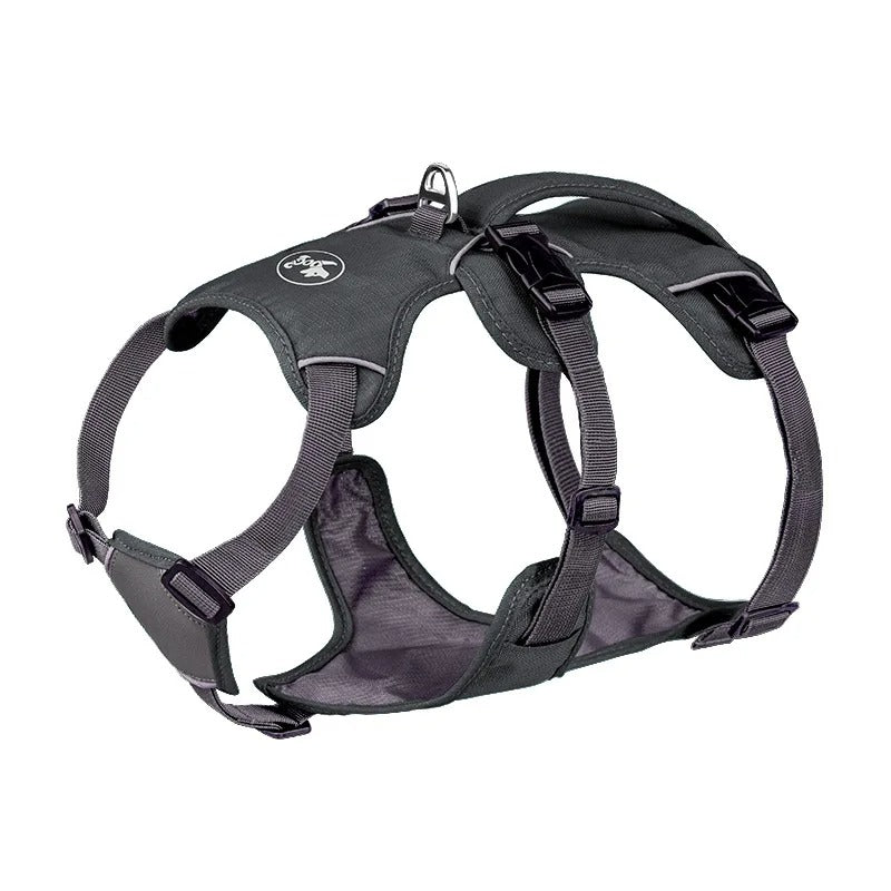 Gray dog harness on a white background