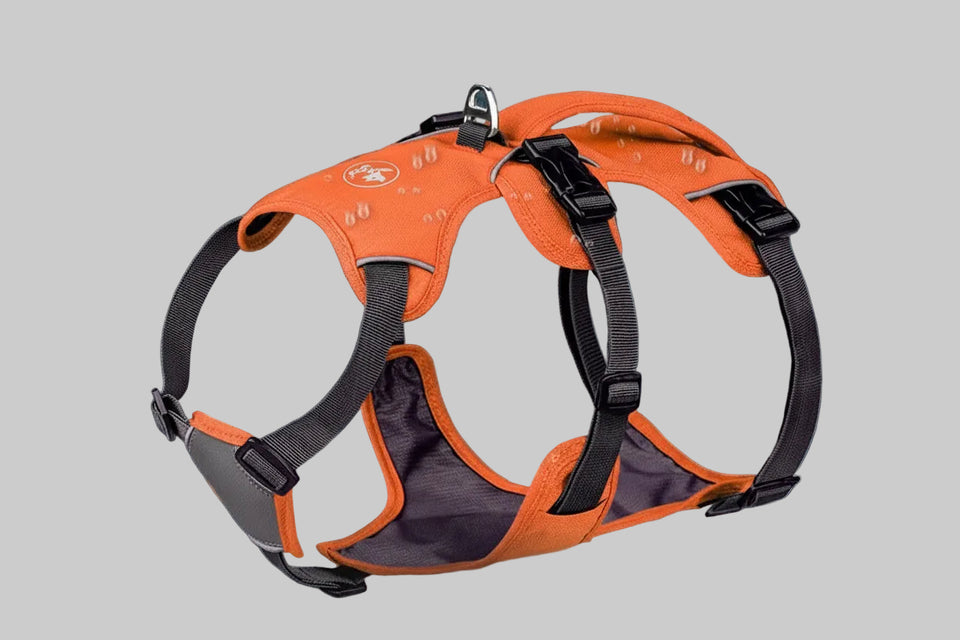 Orange dog harness with black straps on a rain-themed background