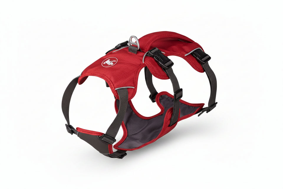 Red dog harness with features highlighted on a white background