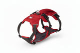 Red dog harness with features highlighted on a white background