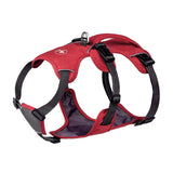 Red dog harness with black straps on a white background
