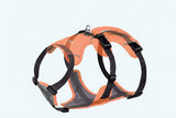 Dog harness with 360-degree viewing feature on a white background