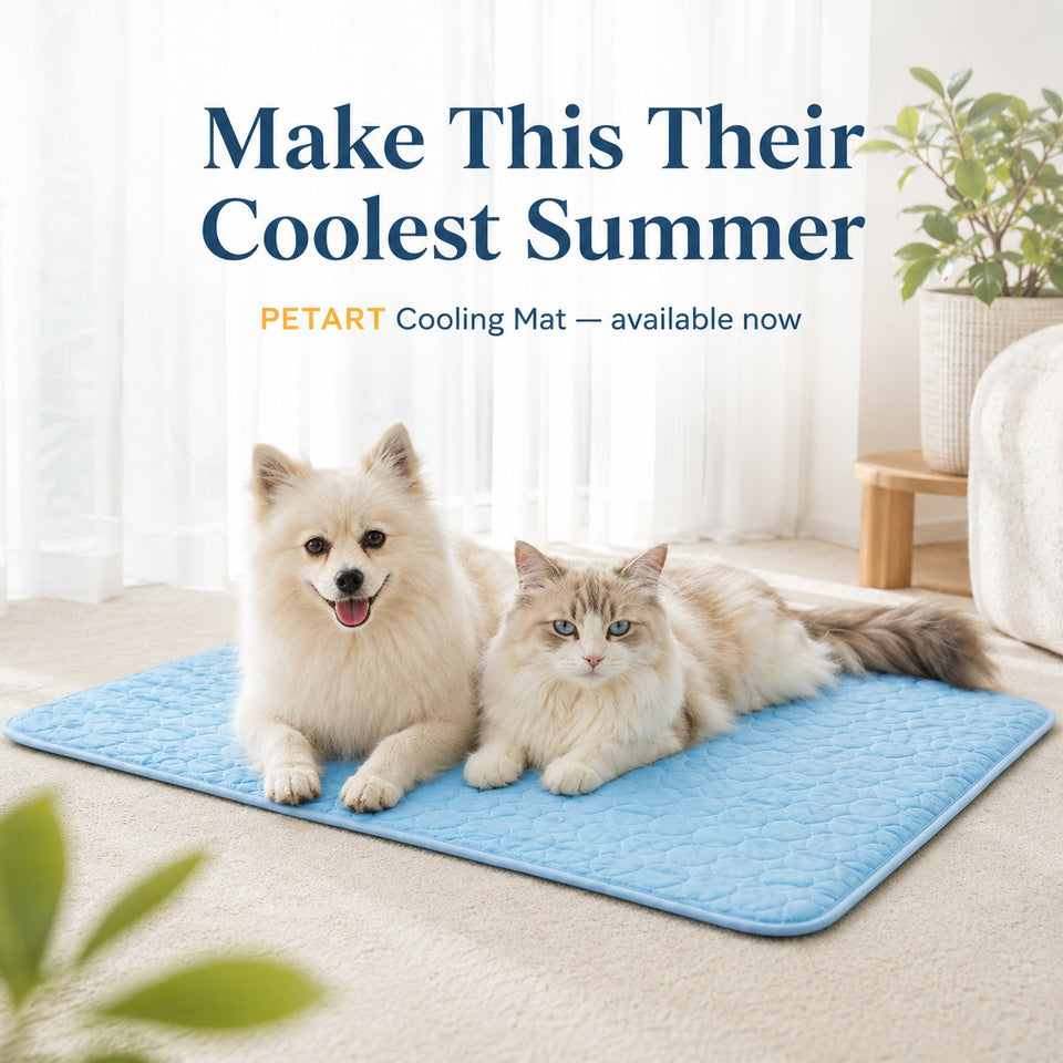 Two pets on a cooling mat with promotional text for PETART Cooling Mat.