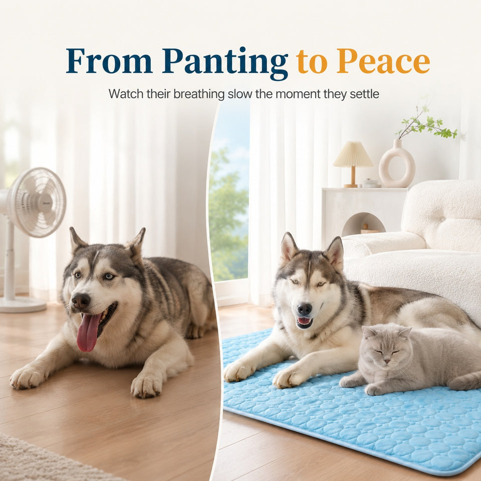 Two dogs and a cat lying on a cooling pad with text 'From Panting to Peace' above.