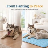 Two dogs and a cat lying on a cooling pad with text 'From Panting to Peace' above.
