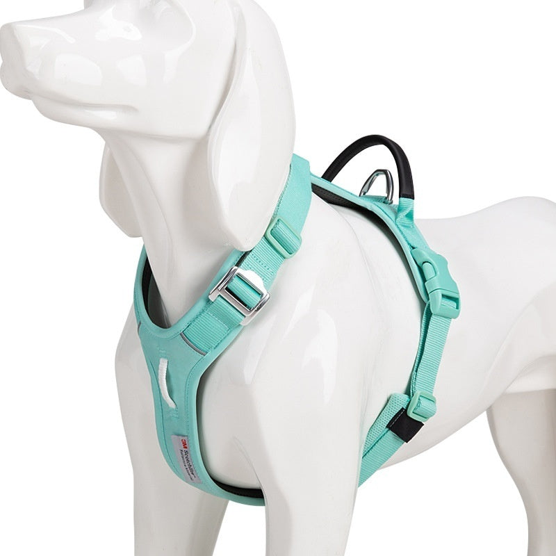 Turquoise dog harness on a mannequin with a white background