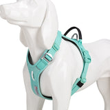 Turquoise dog harness on a mannequin with a white background