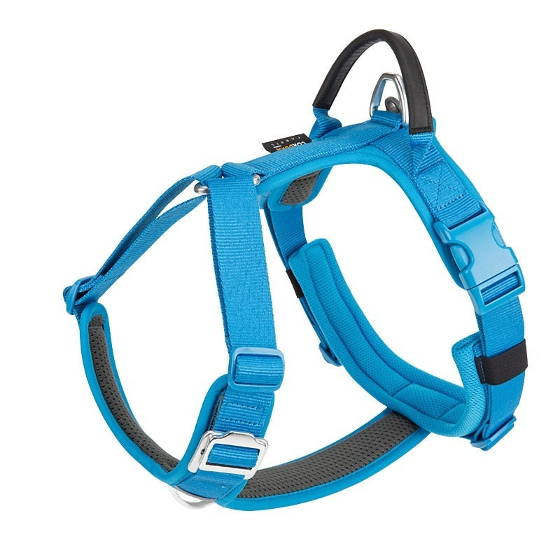 Blue dog harness on a white background