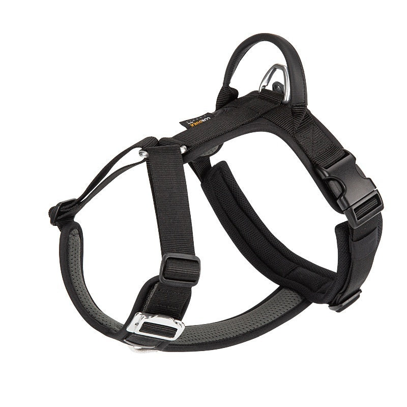 Black dog harness on a white background