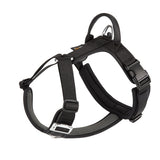 Black dog harness on a white background