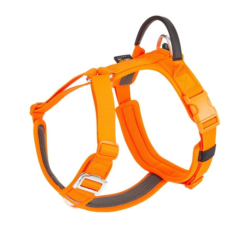 Orange dog harness with gray accents on a white background