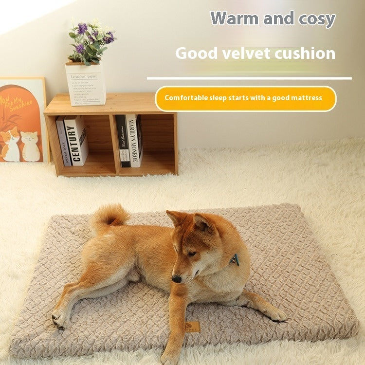 Dog lying on a plush cushion with a cozy room setting and text about a good mattress.