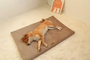 Dog lying on a plush brown mat with promotional text about deep sleeping and sleep quality.