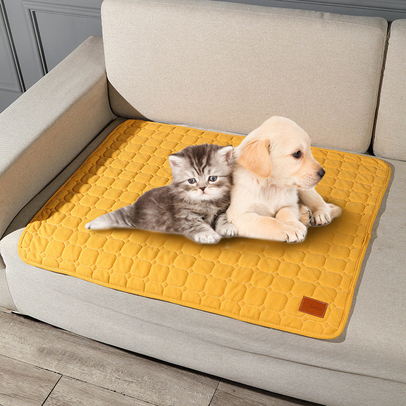 Dog and cat on a yellow pet mat inside a living room.