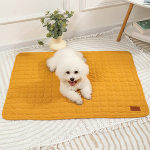 White dog lying on a yellow quilted mat in a room with a plant and furniture.