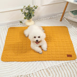 White dog lying on a yellow quilted mat in a room with a plant and furniture.