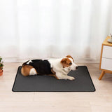 Dog lying on a black mat in a room with a curtain and wooden furniture.