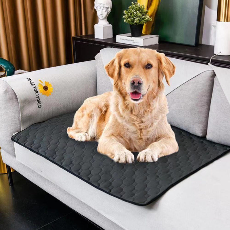 Dog lying on a black pet mat on a gray sofa with a decorative background.