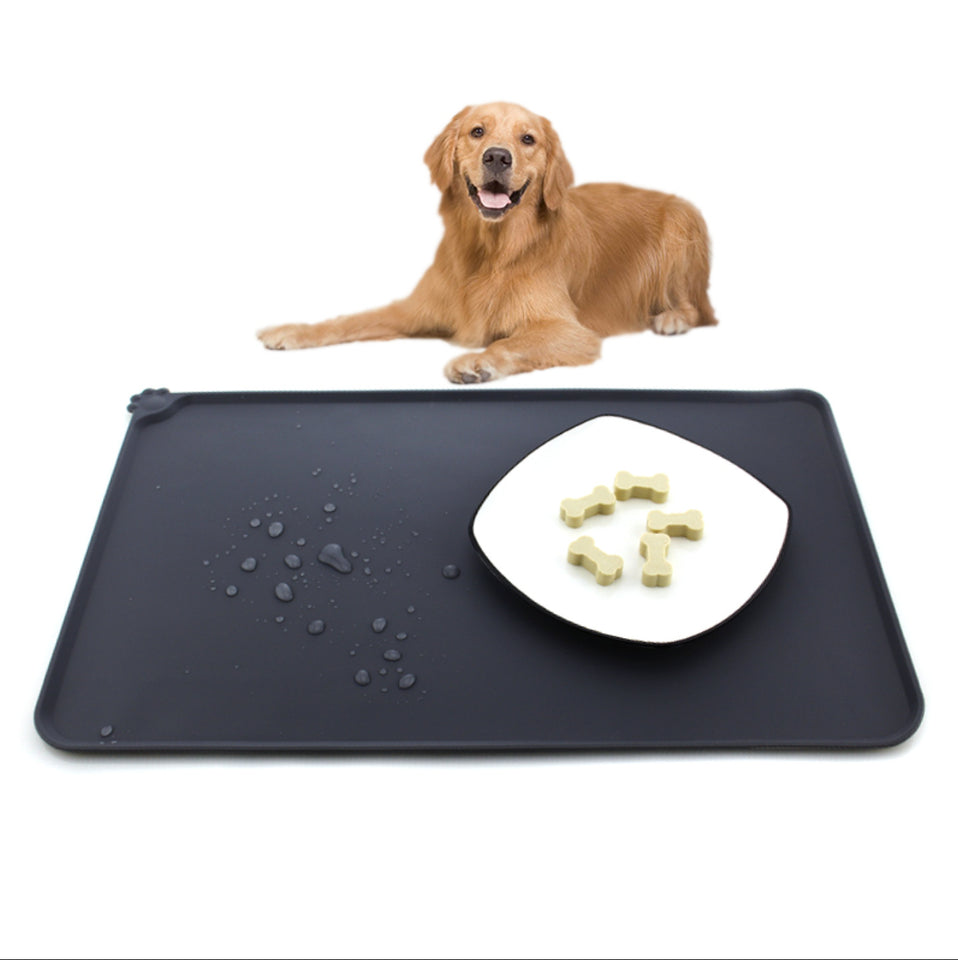 Dog lying next to a black mat with a plate of treats on a white background