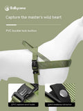 Dog harness with PVC buckle lock button on a green background, featuring the BaBycome brand.