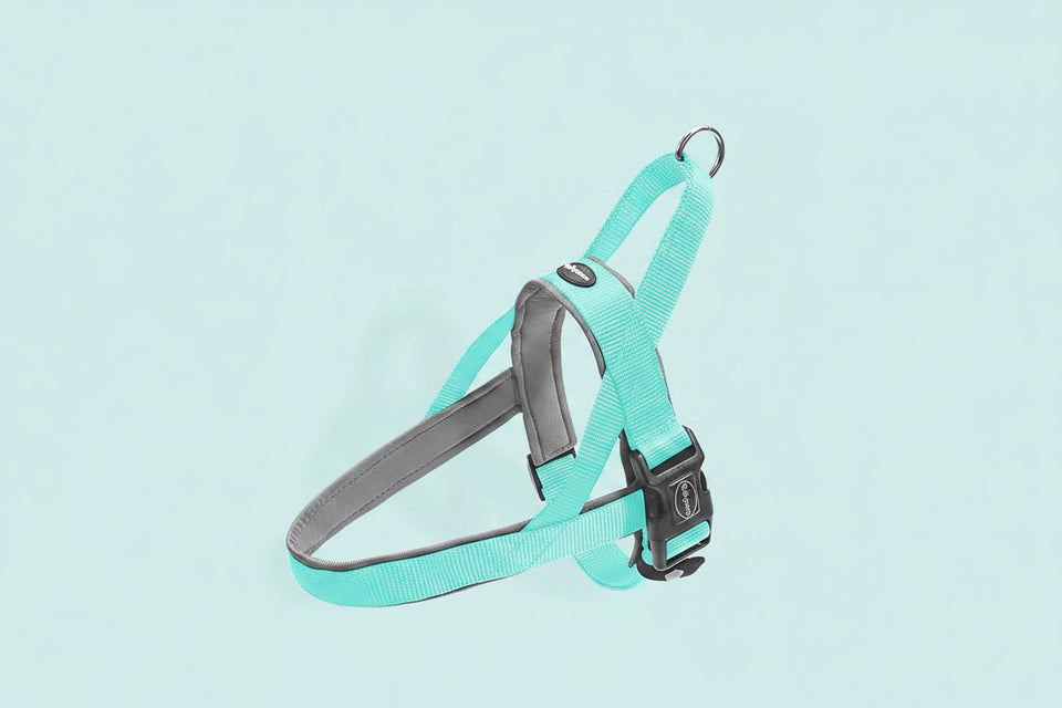 Teal and gray dog harness on a light blue background with text about the product.