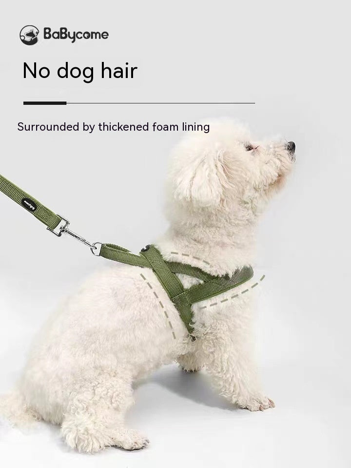 White dog wearing a green harness with 'BaBycome' branding on a light gray background.