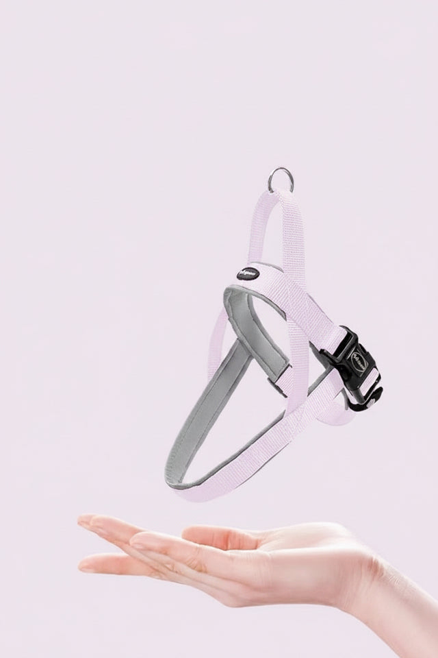 Lightweight harness with text about its features on a white background