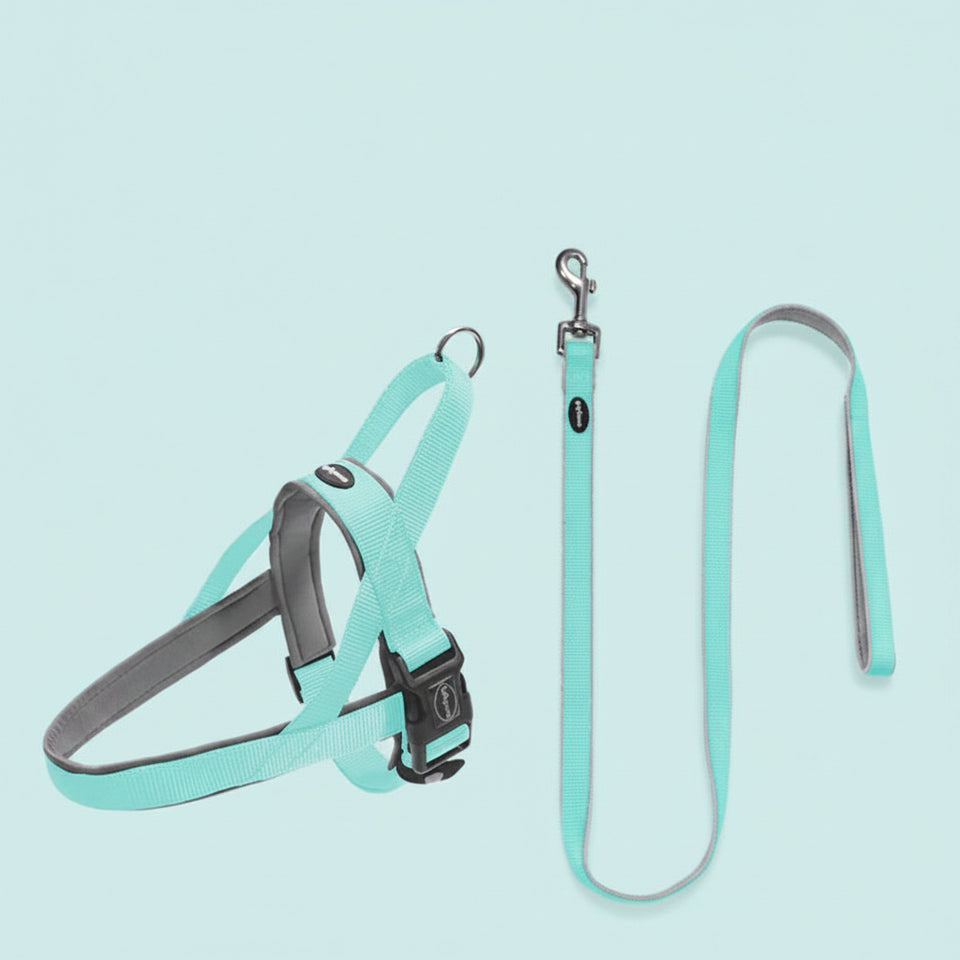 Pet harness and leash set with peacock blue color on a light blue background