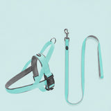 Pet harness and leash set with peacock blue color on a light blue background
